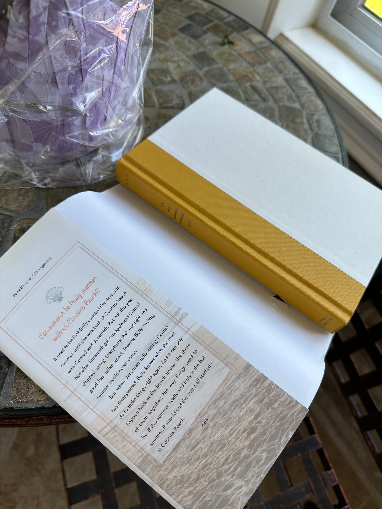 it’s not summer without you by Jenny Han