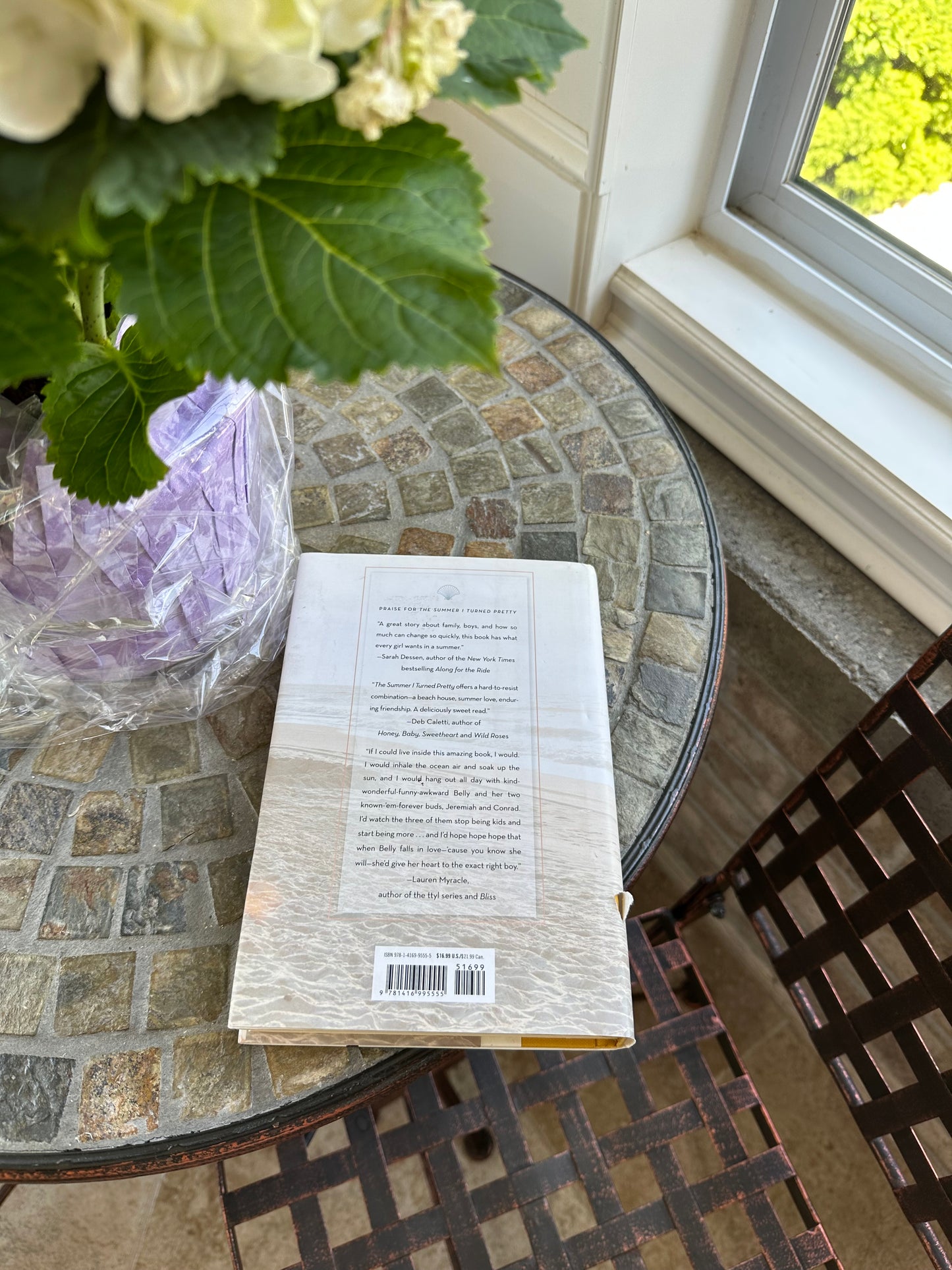 it’s not summer without you by Jenny Han