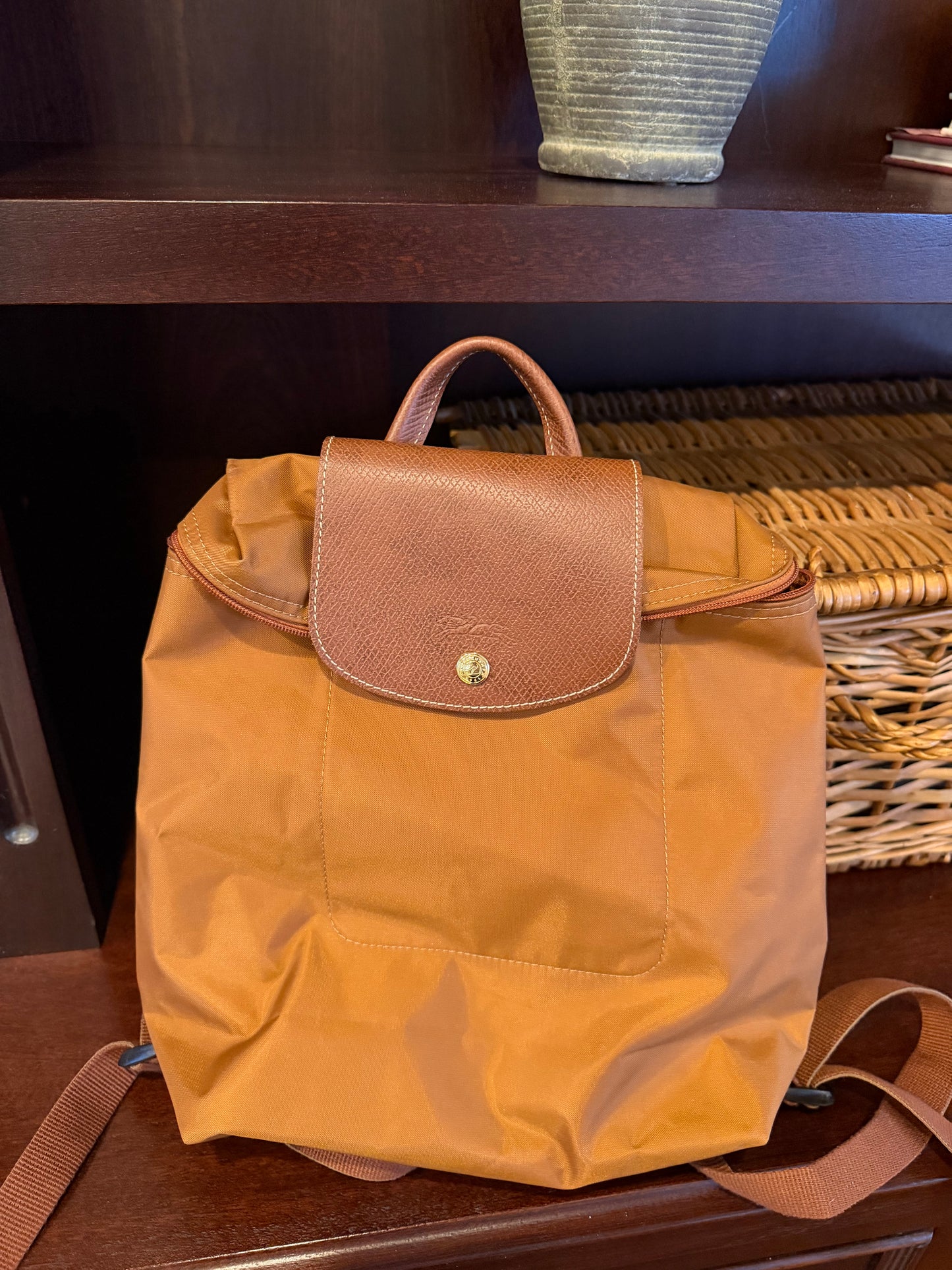 Longchamp Backpack