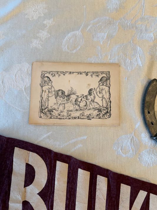Dog Print